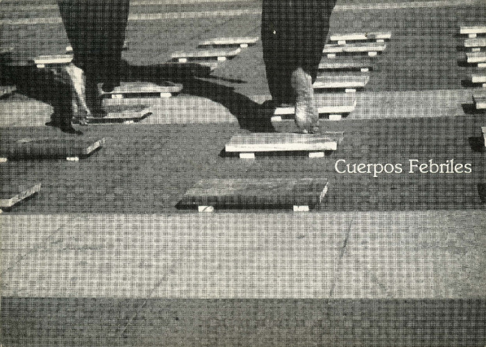 Cuerpos febriles